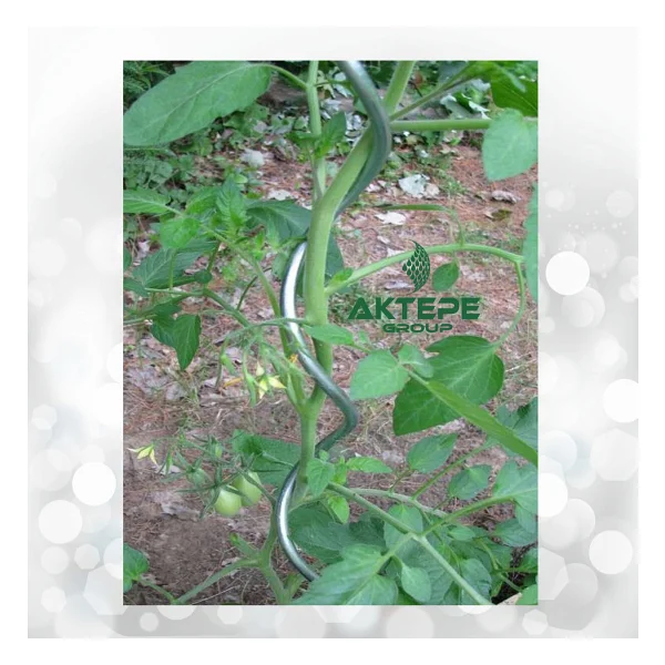 Aktepe Group 20 Adet 150 Cm Metal Spiral Bitki Destek Çubuğu Hobi Bahçesi Bitki Bağlama Teli Sebze Ve Çiçek Teli - Görsel 3