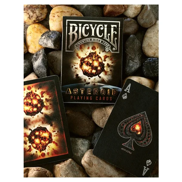 Bicycle Asteroid İskambil Kağıdı - Görsel 9