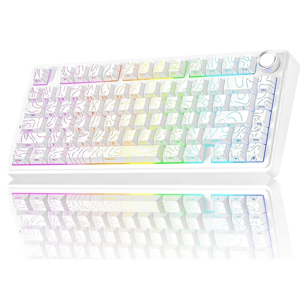 Aula F75 RGB %75 Tkl Seiya Switch Kablolu/Kablosuz Mekanik Oyuncu Klavyesi - Görsel 9