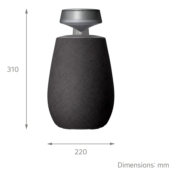 LG XBoom Go DXO2T Bluetooth Hoparlör - Görsel 2