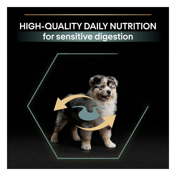 Pro Plan Medium Puppy Kuzu Etli 3 kg Orta Irk Yavru Köpek Maması - Görsel 7