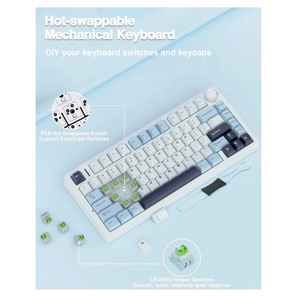 Aula F75 Lacivert RGB %75 Tkl Reaper Switch Kablolu/Kablosuz Mekanik Oyuncu Klavyesi - Görsel 5