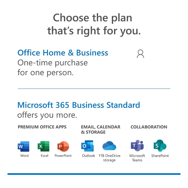 Office 2021 Ev Ve İş Türkçe Kutulu T5d-03555 Ofis Programı - Görsel 2