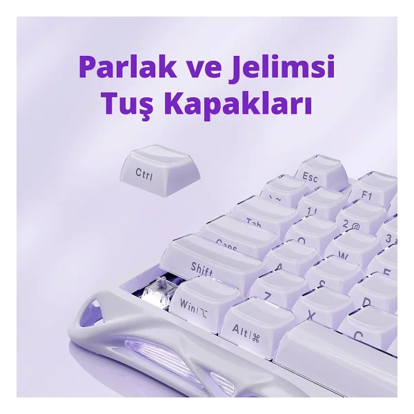 Gravastar Mercury V75 He Mor RGB %75 Tkl Magnetic Switch Kablolu Mekanik Oyuncu Klavyesi - Görsel 6