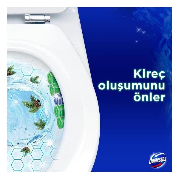 Domestos Wc Blok 5'li Güç Çam Ferahlığı - Görsel 10