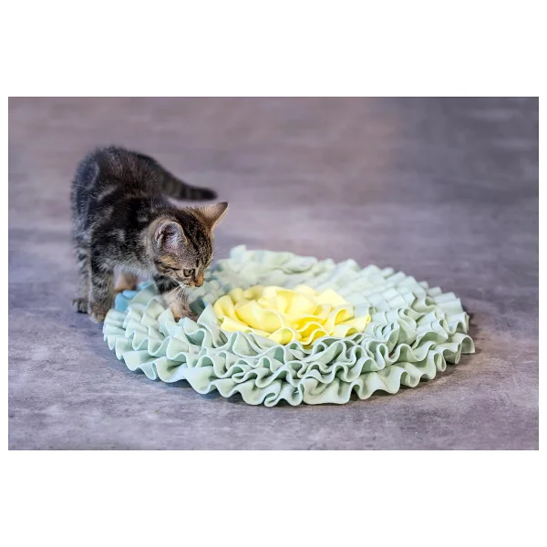 Beeztees Yavru Kedi Oyuncağı, Ödül Saklama, 38X38x3cm - Görsel 4