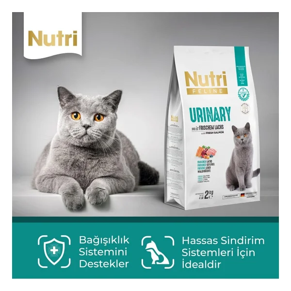 Nutri Feline Urinary Somon Etli 2 Kg Yetişkin Kedi Maması - Görsel 4