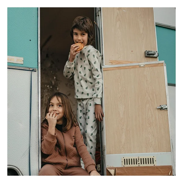 Antebies Organik Gri Yeşil Armut Desenli Beli Lastikli Uzun Kollu Erkek Çocuk Pijama Takımı - 9 - 10 Yaş - Görsel 3