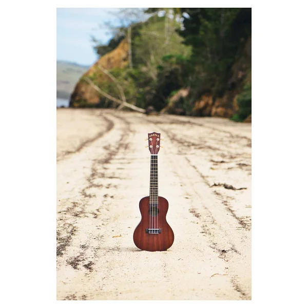 Kala Makala Mk-Ce Concert Ukulele - Görsel 6
