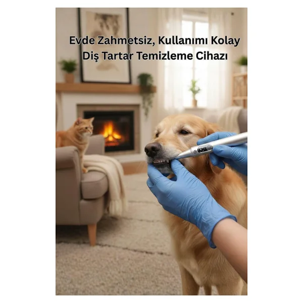 NPO M1 5MP Kameralı UV'li 5 Modlu Ultrasonic Tartar Plak PET Diş Temizleme Cihazı - Görsel 3