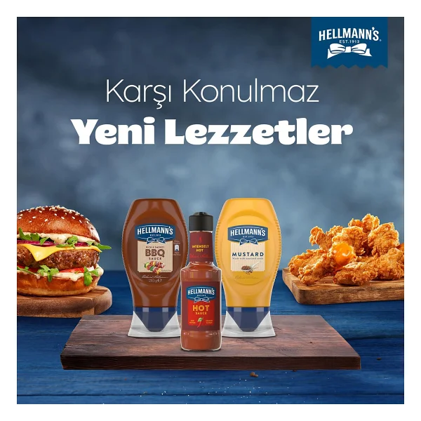 Hellmann's Barbekü Sos 285 Gr - Görsel 6
