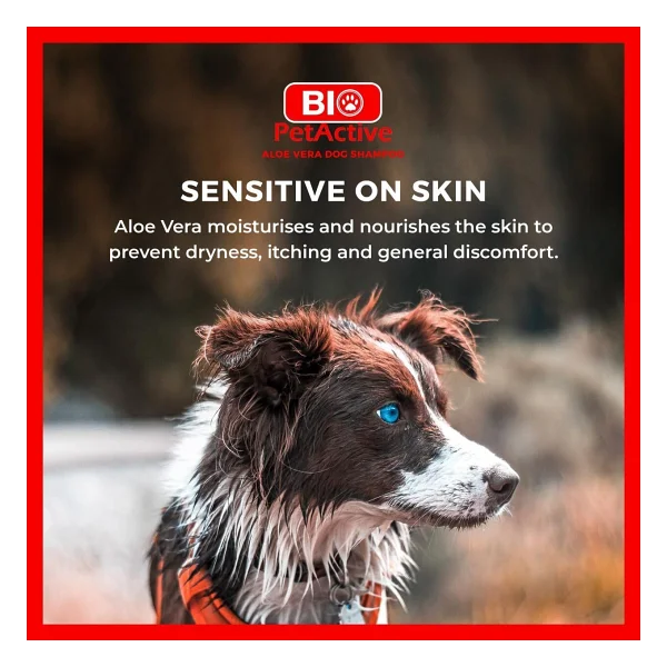 Bio Petactive Aloe Vera Özlü 400 Ml Köpek Şampuanı - Görsel 5