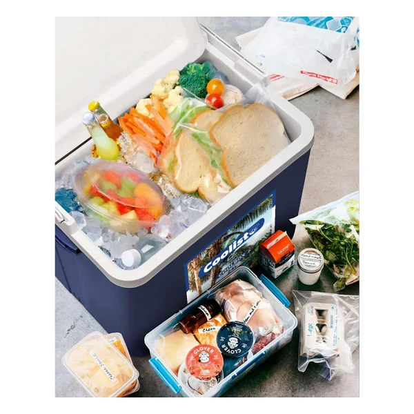 Coolist Clb24set 24 Lt Kamp Buzluğu - Görsel 2
