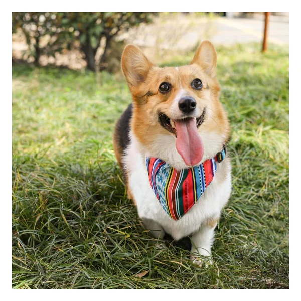 M-Pets Small Urban Style Jazz Stripes Bandana - Görsel 4