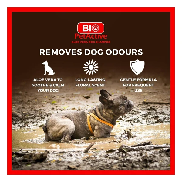 Bio Petactive Aloe Vera Özlü 400 Ml Köpek Şampuanı - Görsel 4