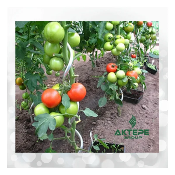 Aktepe Group 20 Adet 150 Cm Metal Spiral Bitki Destek Çubuğu Hobi Bahçesi Bitki Bağlama Teli Sebze Ve Çiçek Teli - Görsel 5