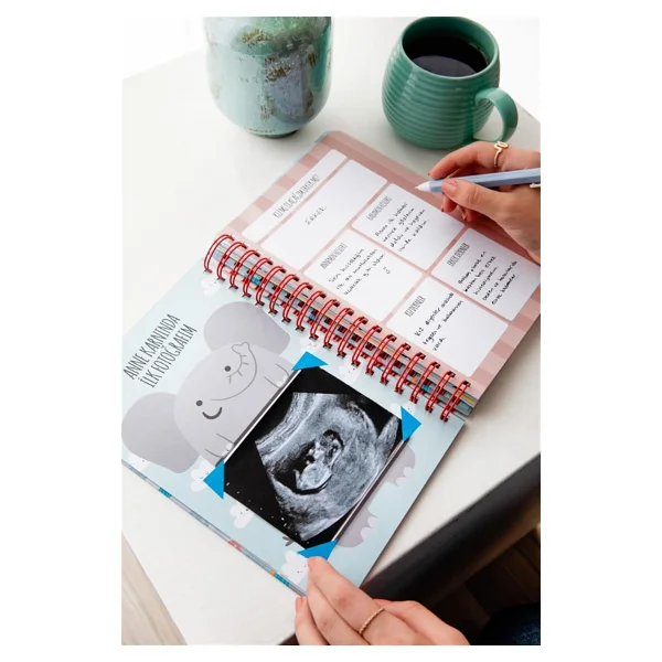LE COLOR Bebek Anı ve Anne Hamile Albümü Kız+ 241 Sticker - Görsel 3