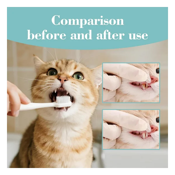 Bioline Peynir Aromalı Kedi Ağız Bakım Seti - Görsel 4
