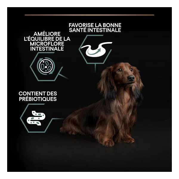 Pro Plan Small & Mini Adult Kuzu Etli 7 kg Küçük Irk Yetişkin Köpek Maması - Görsel 10