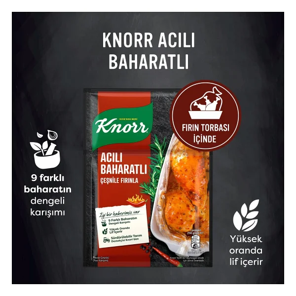 Knorr 31 gr Acılı Baharatlı Fırında Tavuk Çeşnisi - Görsel 4