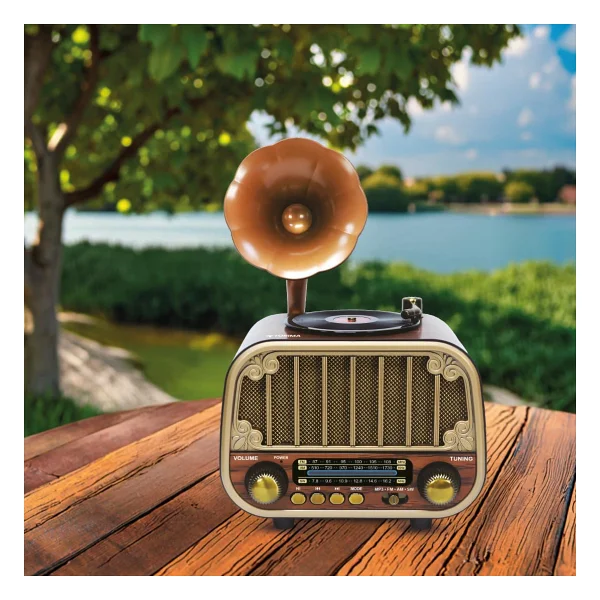 Torima D76 Nostaljik Radyo - Görsel 4