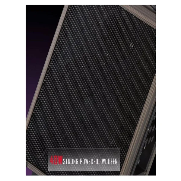 Torima Profesyonel Lt-912 Bluetooth Hoparlör - Görsel 6