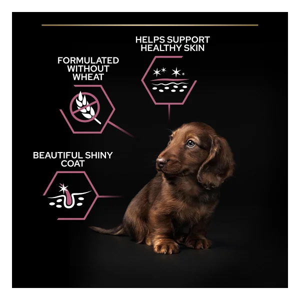 Pro Plan Small & Mini Somonlu 3 kg Küçük Irk Yetişkin Köpek Maması - Görsel 5