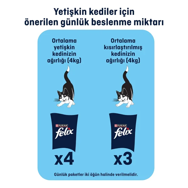 Felix Felix Lezzetli Et Dilimleri Ordekli Kedi Yas Mamasi 80 Gr X 26 Li - Görsel 6