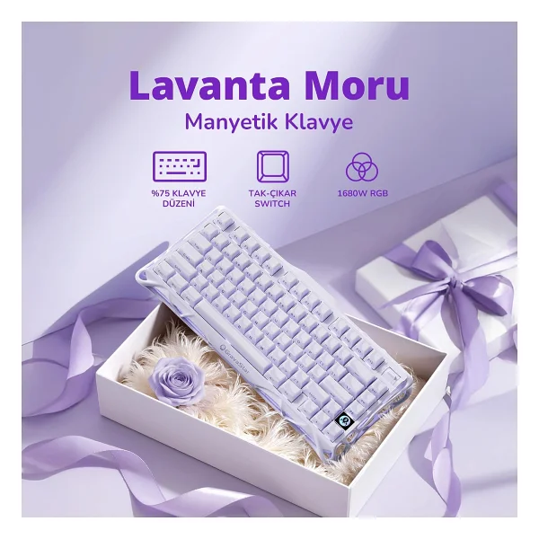 Gravastar Mercury V75 He Mor RGB %75 Tkl Magnetic Switch Kablolu Mekanik Oyuncu Klavyesi - Görsel 2