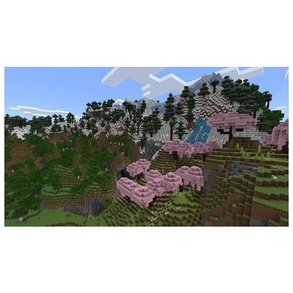 Minecraft Nintendo Switch Oyun - Görsel 5