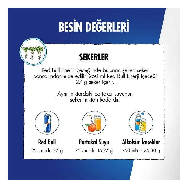 Red Bull White Edition Hindistan Cevizi & Açai Enerji İçeceği 250 Ml - Görsel 5