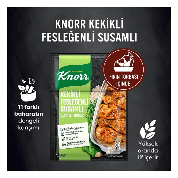 Knorr 29 Gr Kekikli Fesleğenli Susamlı Tavuk Çeşni - Görsel 4