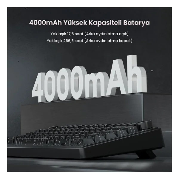 Aula F75 RGB %75 Tkl Seiya Switch Kablolu/Kablosuz Mekanik Oyuncu Klavyesi - Görsel 7