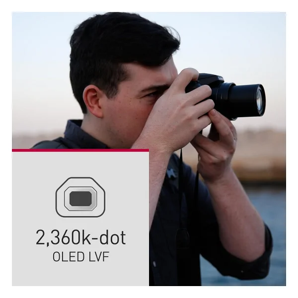 Panasonic Lumix DC-FZ82D Dijital Fotoğraf Makinesi - Görsel 3
