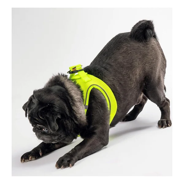 Pawstar Neon Sarı Air-mesh Göğüs Tasması Kedi Köpek Göğüs Tasması Neon Sarı 3XS - Görsel 2