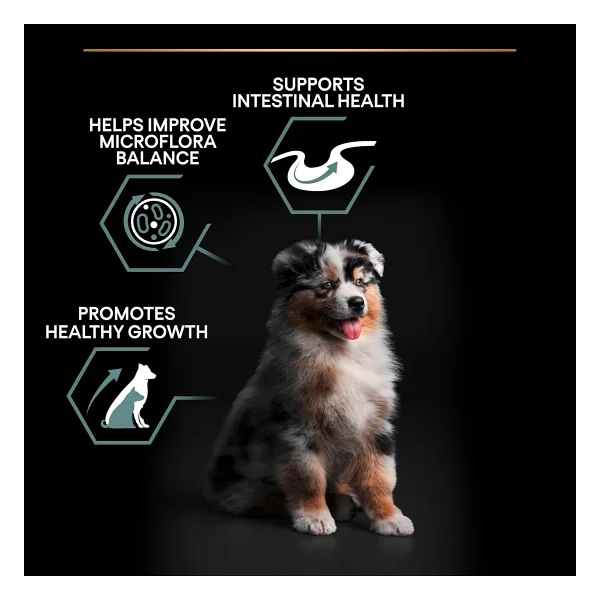 Pro Plan Medium Puppy Kuzu Etli 3 kg Orta Irk Yavru Köpek Maması - Görsel 5