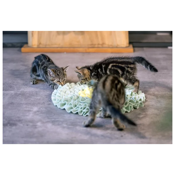 Beeztees Yavru Kedi Oyuncağı, Ödül Saklama, 38X38x3cm - Görsel 3