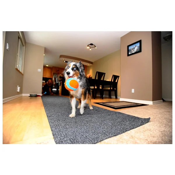 Chuckit Indoor Ball Eve Özel Yumuşak Peluş Köpek Oyun Topu - Görsel 5