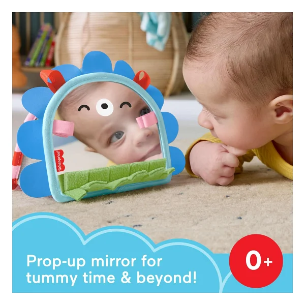 Fisher Price Eğlenceli Kirpi Ayna JHB45 - Görsel 2