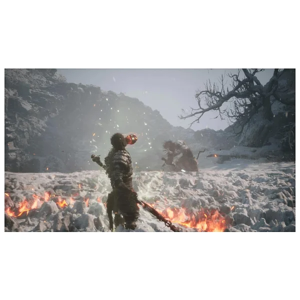 PS5 Black Myth Wukong Oyun - Görsel 7