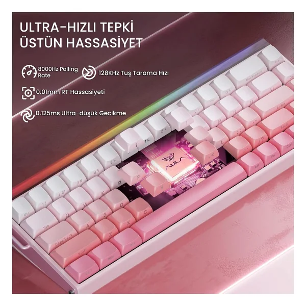 Aula Hero 68 He Pembe RGB %65 Tkl Black King Switch Kablolu Mekanik Oyuncu Klavyesi - Görsel 4