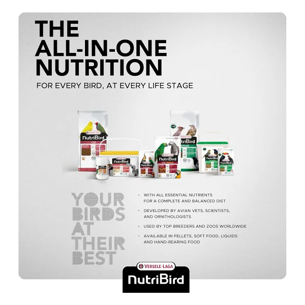 Versele Laga Nutribird P15 Original 1 Kg Pelet Papağan Yemi - Görsel 9