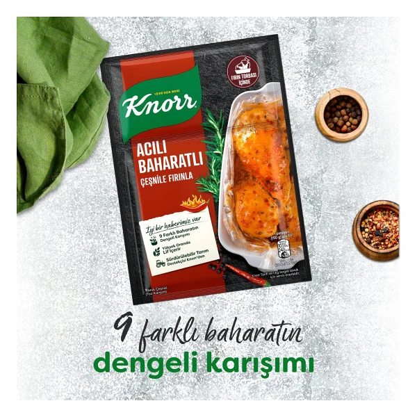 Knorr 31 gr Acılı Baharatlı Fırında Tavuk Çeşnisi - Görsel 5