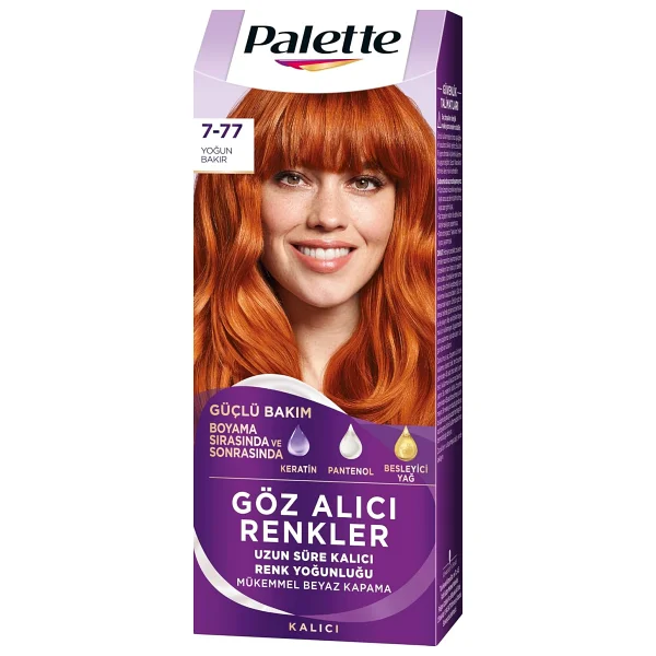 Palette Göz Alıcı Renkler Saç Boyası