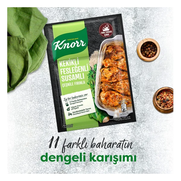 Knorr 29 Gr Kekikli Fesleğenli Susamlı Tavuk Çeşni - Görsel 5