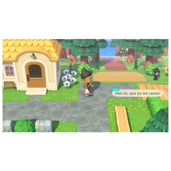 Animal Crossing New Horizons Nintendo Switch 2 Oyunu - Görsel 2
