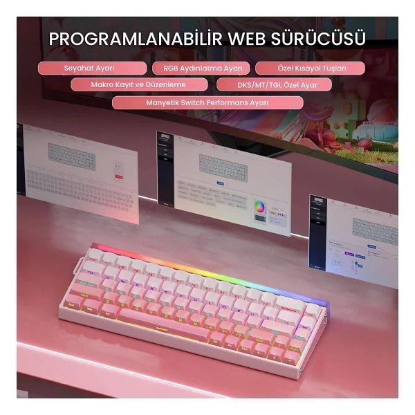 Aula Hero 68 He Pembe RGB %65 Tkl Black King Switch Kablolu Mekanik Oyuncu Klavyesi - Görsel 5