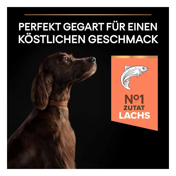 Pro Plan Large Athletic Sensitive Skin Somonlu 14 kg Yetişkin Köpek Maması - Görsel 6