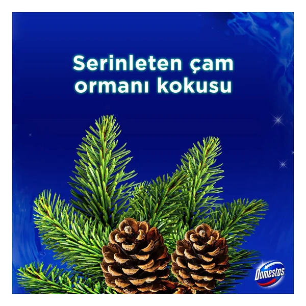 Domestos Wc Blok 5'li Güç Çam Ferahlığı - Görsel 8