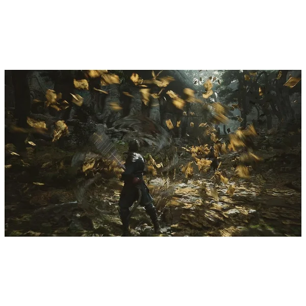 PS5 Black Myth Wukong Oyun - Görsel 9